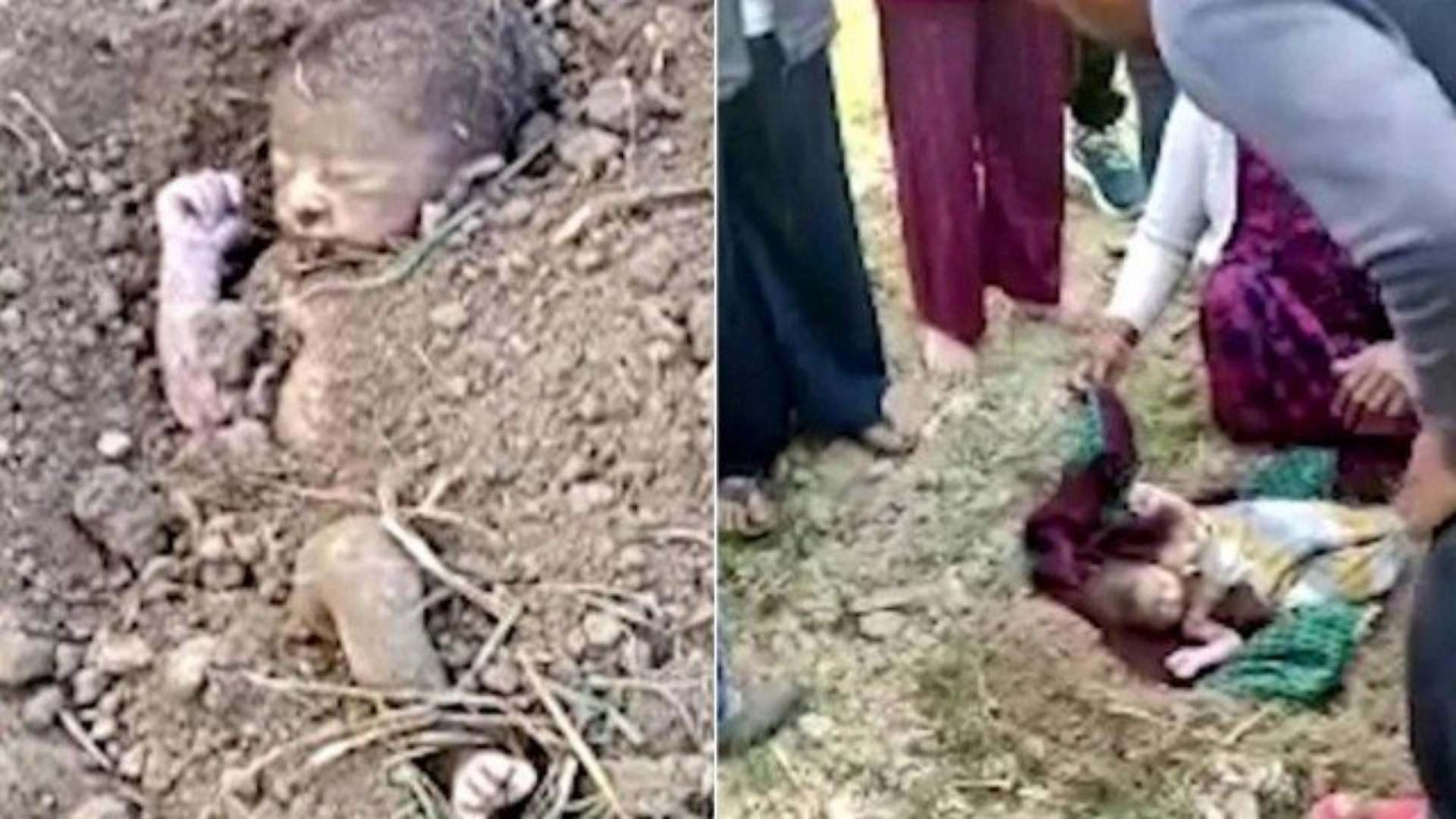 Caso ocorreu em fazenda na cidade de Khatima, na Índia, na última segunda-feira
 - Reprodução