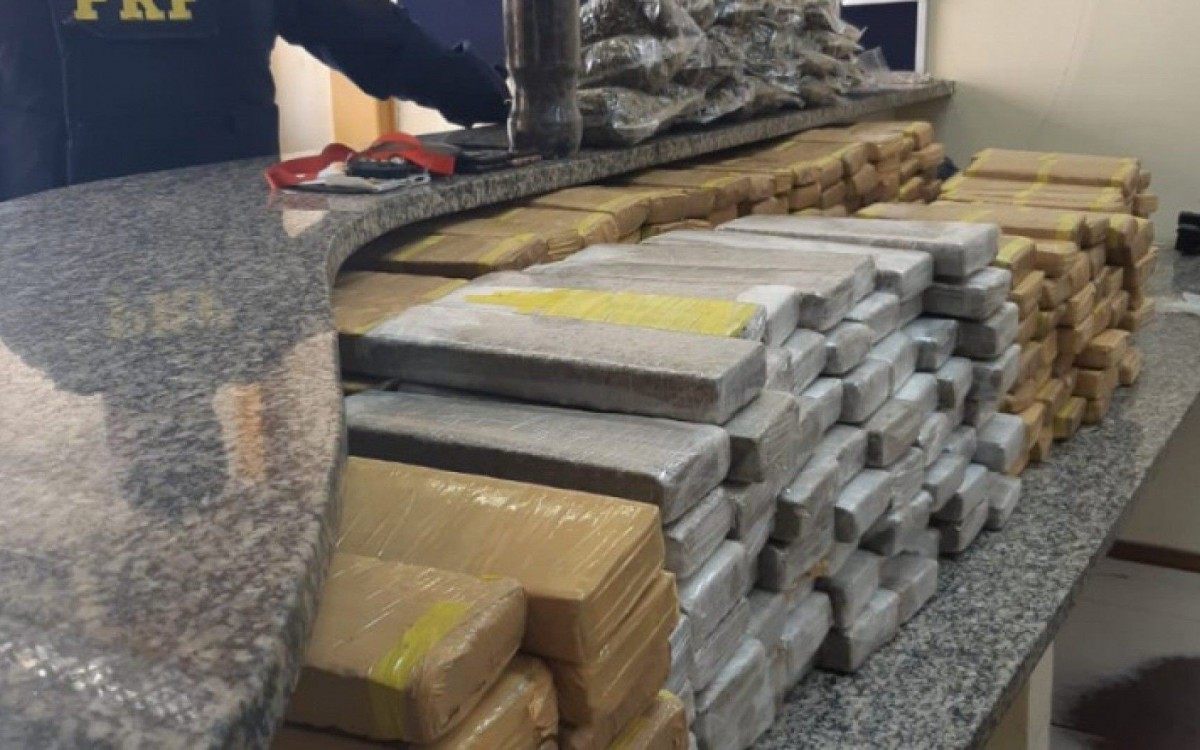 Todo o material foi apreendido pelos agentes na manhã deste sábado - PRF / Divulgação 