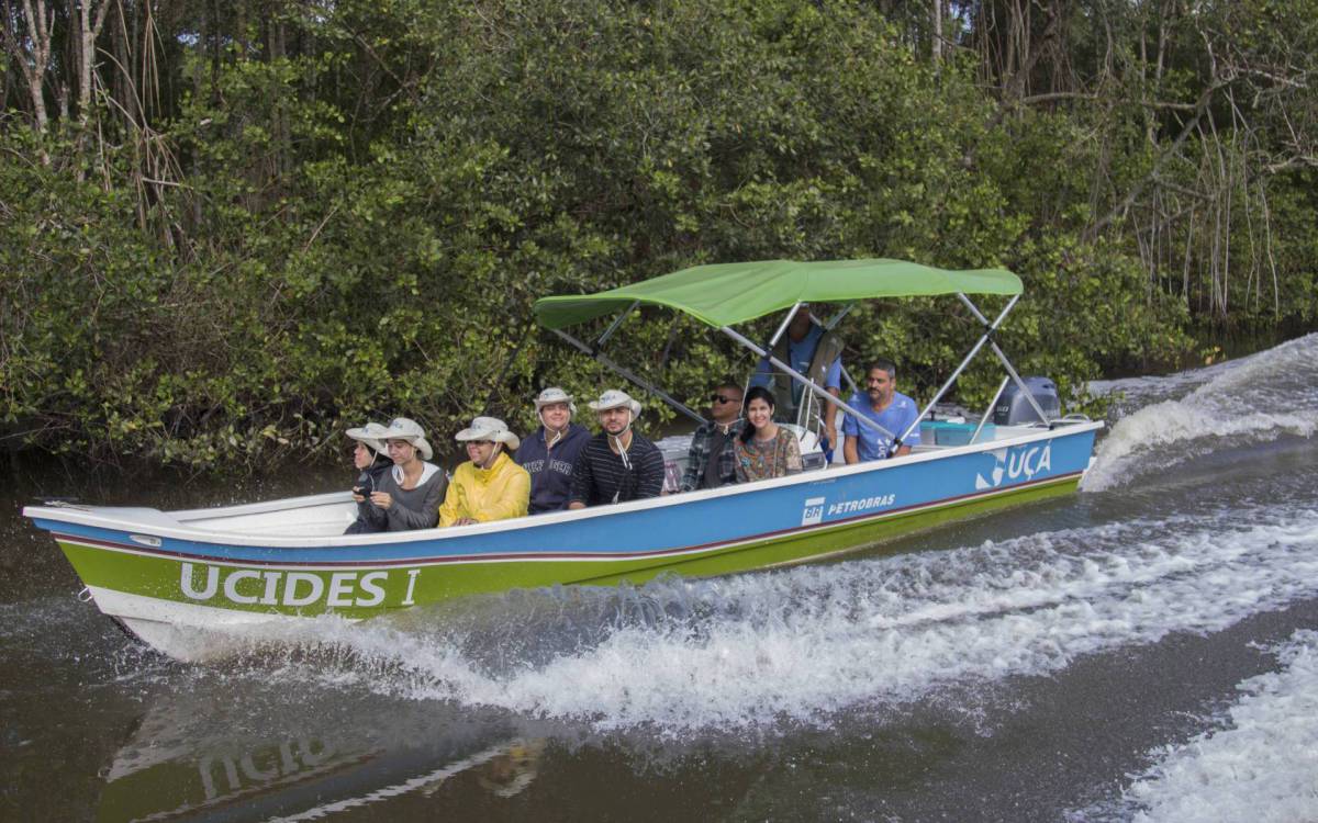 Iniciativa venceu na categoria 