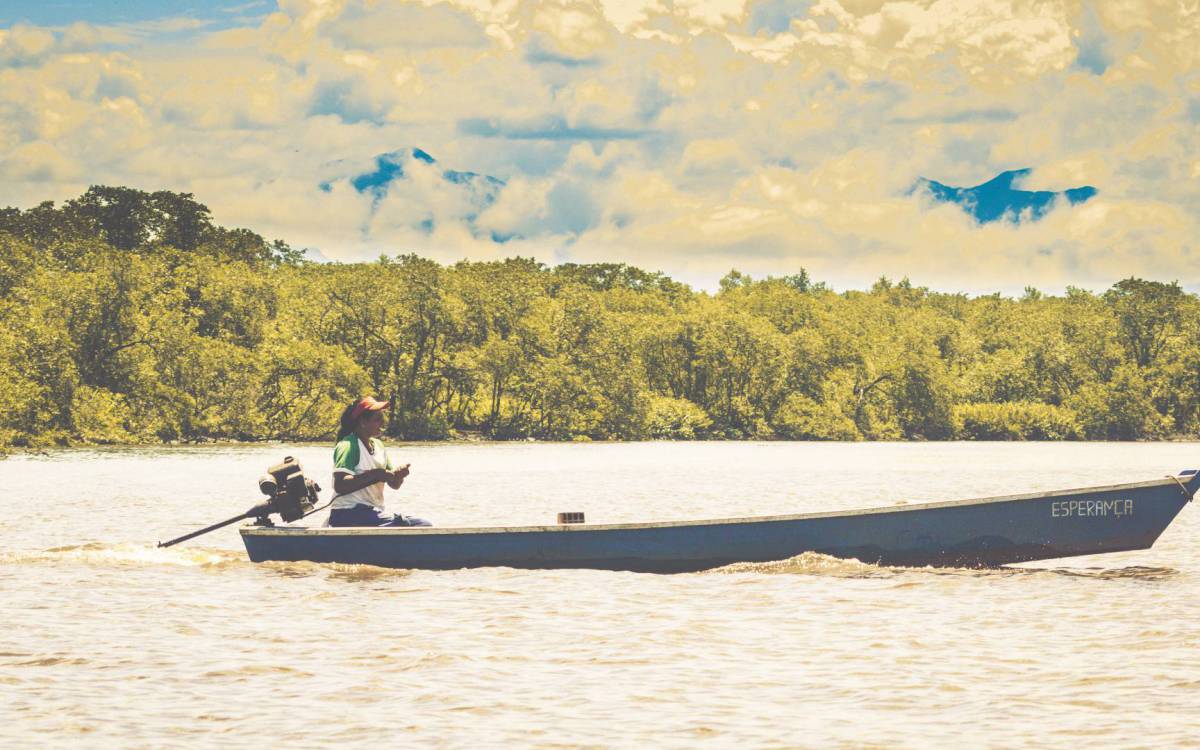 Premiação contou com a seleção de uma comissão avaliadora composta por renomados especialistas brasileiros