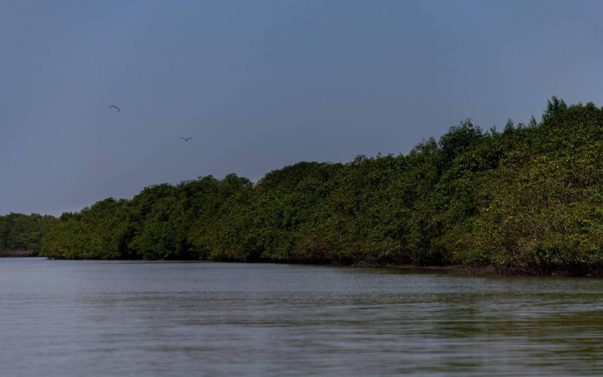 ONG criou e incubou cooperativas de artesanato com foco no reaproveitamento de resíduos sólidos pós-consumo