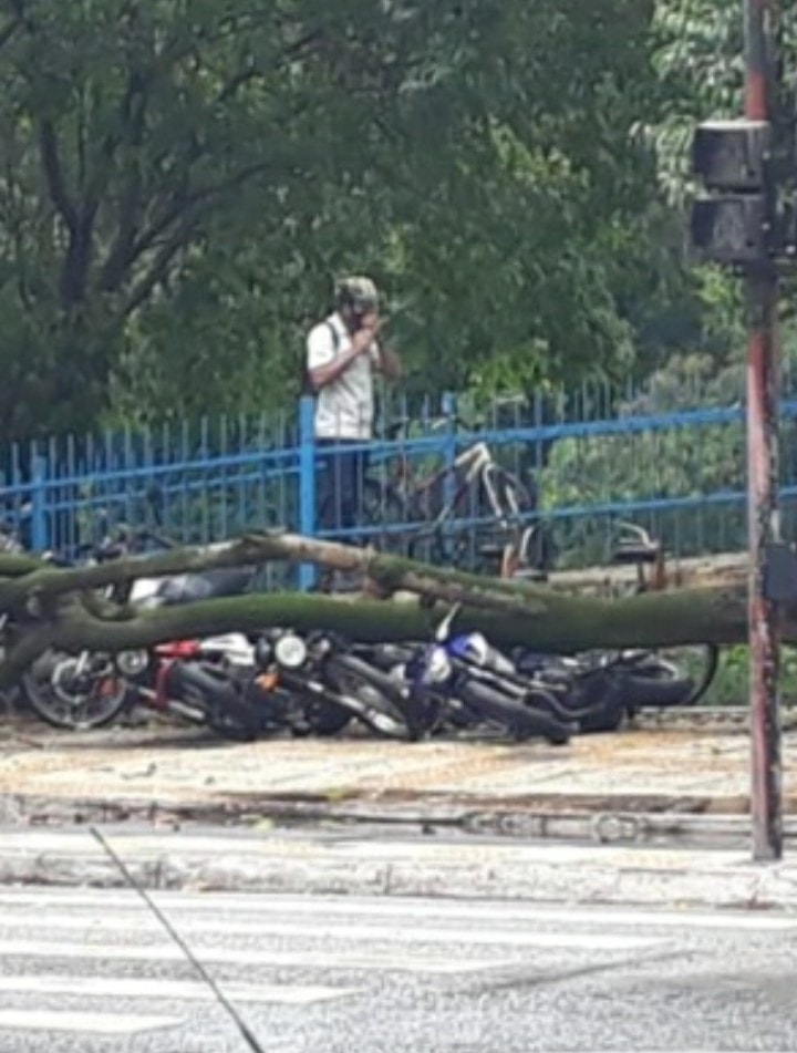 Árvore cai sobre motos estacionadas na Avenida Beira-Rio, próximo a entrada da CSN