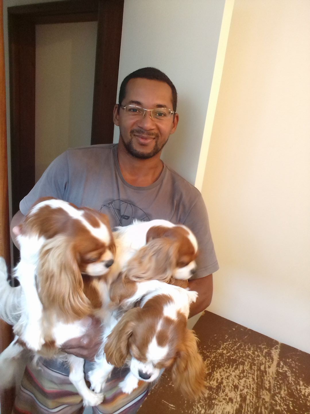 Videon dos Santos era esteticista canino - Reprodução