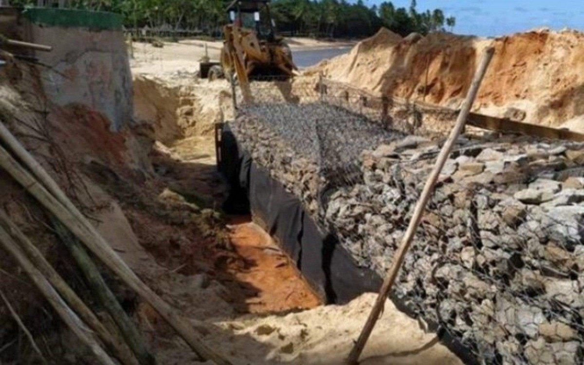 Especialistas dizem que obras do Tivoli Ecoresort prejudicam a procriação de tartarugas marinhas - Reprodução