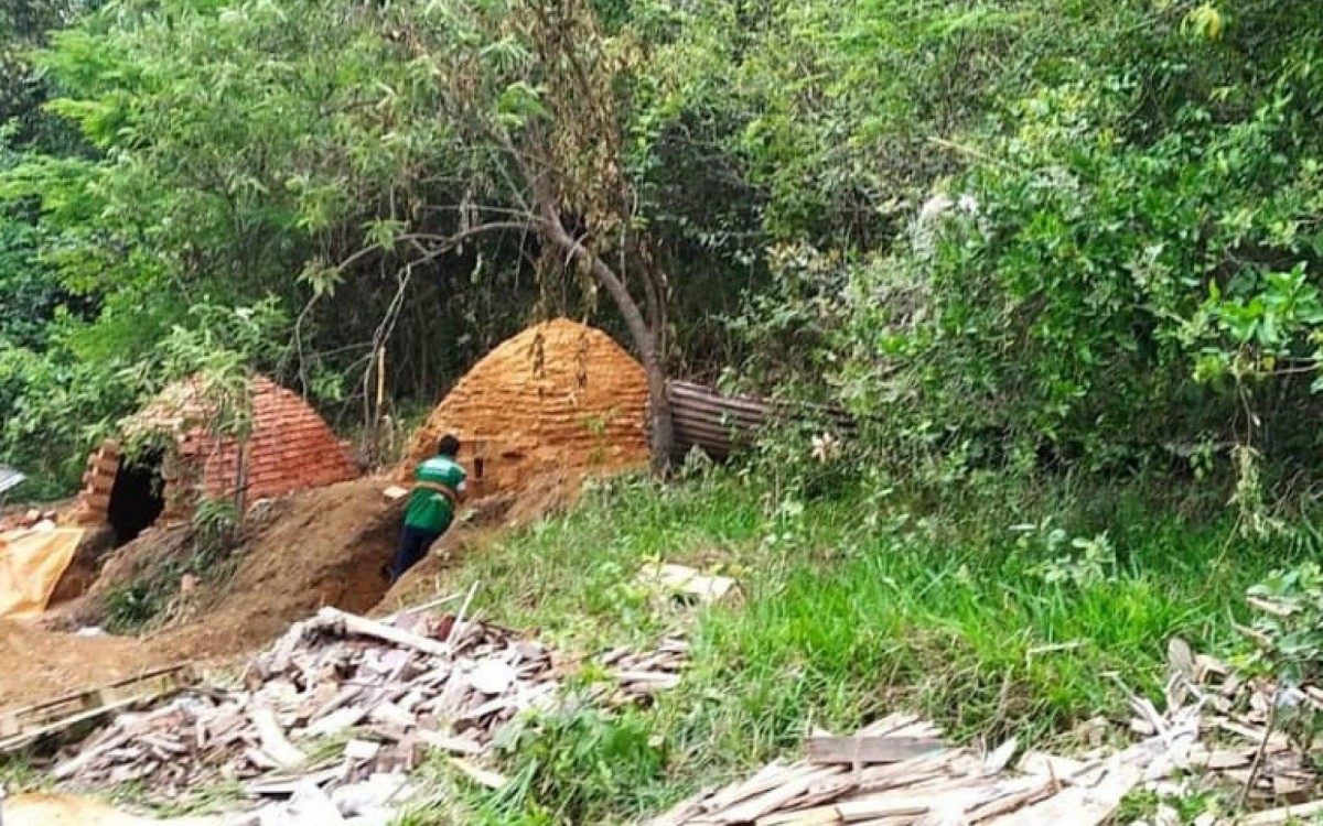 Polícia é acionada e destrói carvoaria clandestina em Duque de Caxias - Divulgação