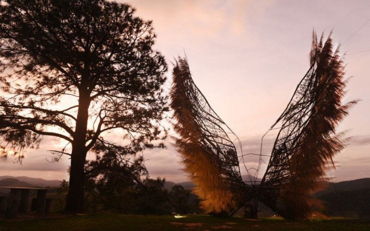 Colina mais alta do Jardim Ecológico Uaná Etê - Divulgação/Diego Mendes