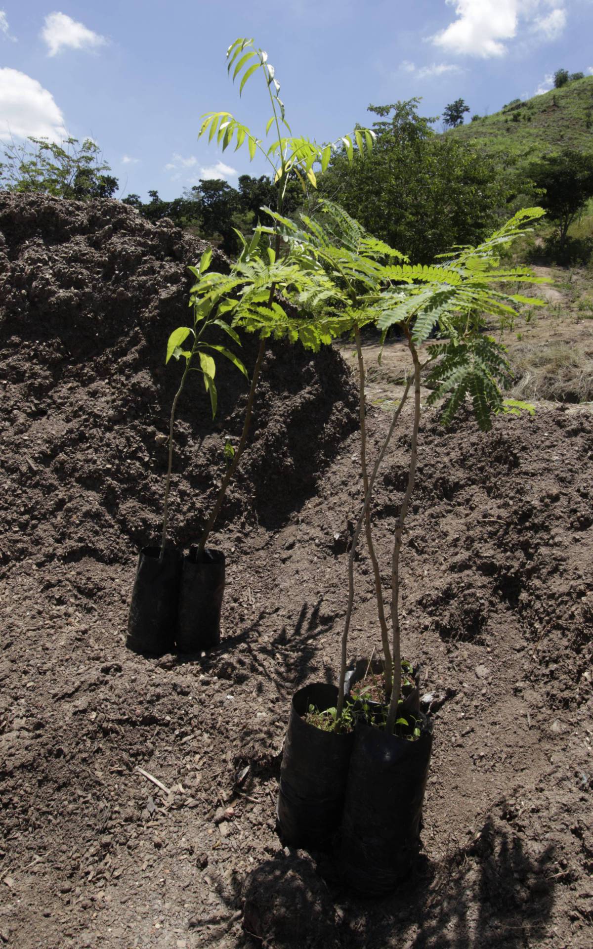 Objetivo é transformar a Serra da Posse em um 