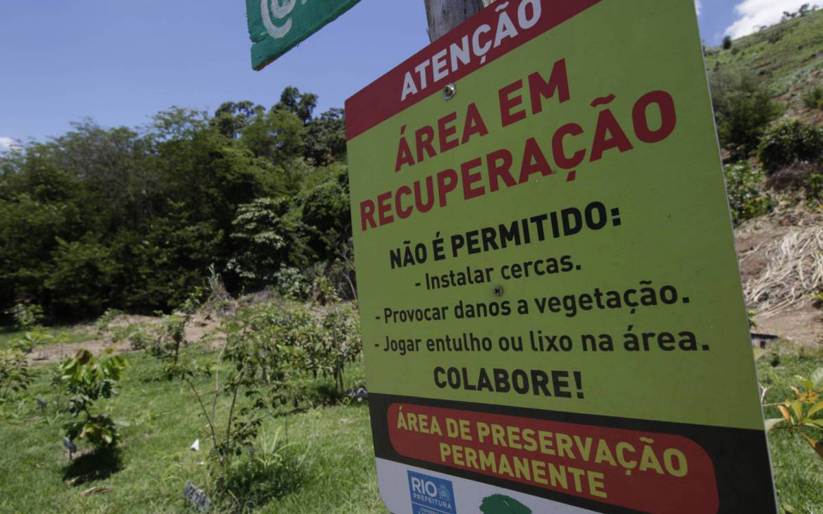 O plantio de mais de 39 mil mudas na Serra da Posse vai custar um investimento de R$1,370 milhÃ£o 