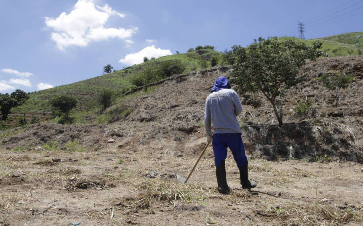 Projeto está dividido em quatro módulos de reflorestamento, batizados de Caminho das Aves, Nosso Bosque, Ampliação do Nosso Bosque e Reflorestamento Serra da Posse