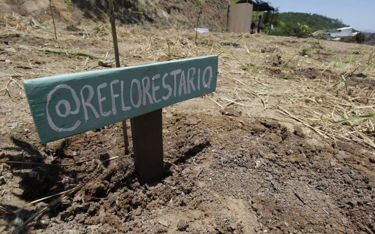 Objetivo é transformar a Serra da Posse em um 