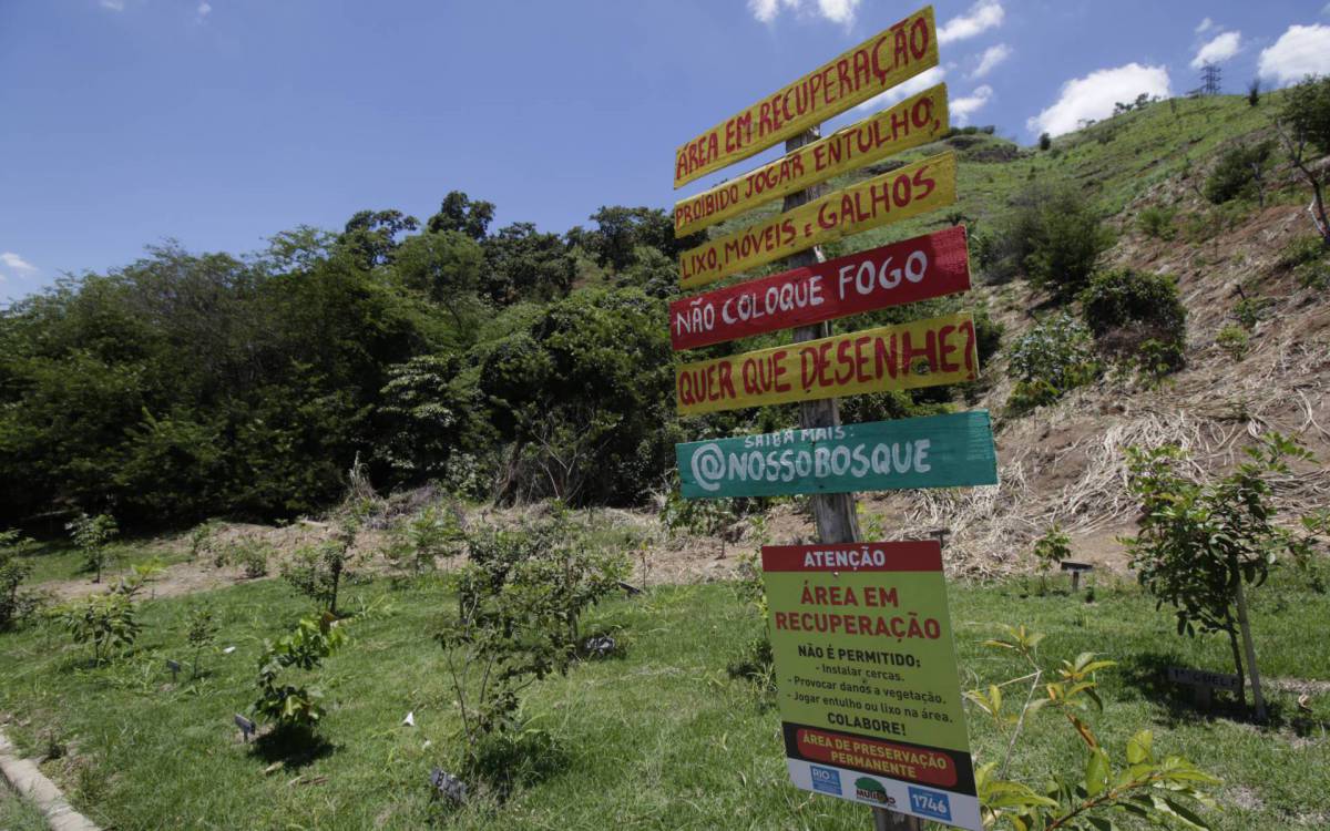 Objetivo é estimular a movimentação da fauna e provocar aumento do fluxo de aves, morcegos e insetos