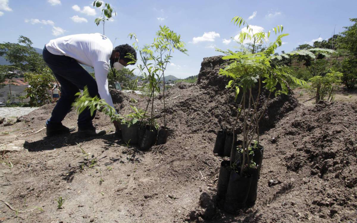 Áreas estão localizadas na face norte da Serra, região mais desmatada e degradada da região