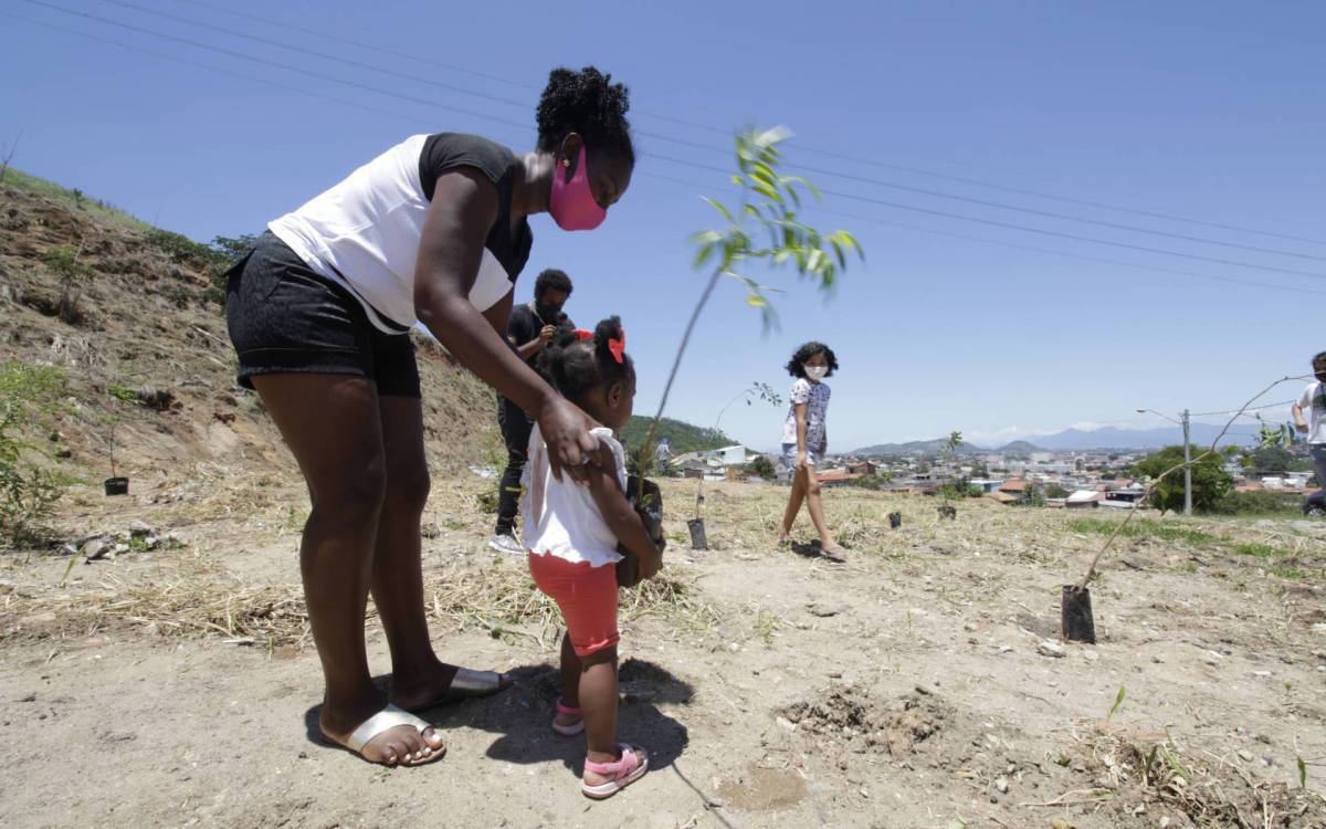 O plantio de mais de 39 mil mudas na Serra da Posse vai custar um investimento de R$1,370 milhão 