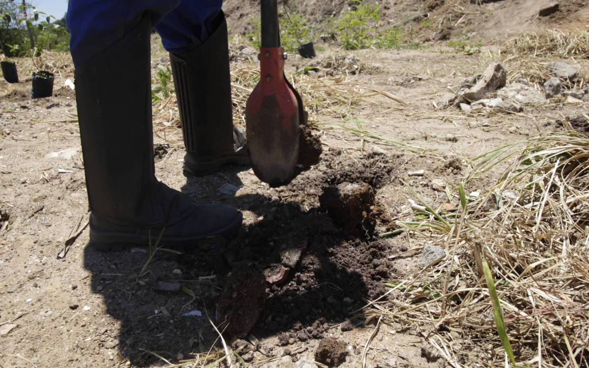 Áreas estão localizadas na face norte da Serra, região mais desmatada e degradada da região