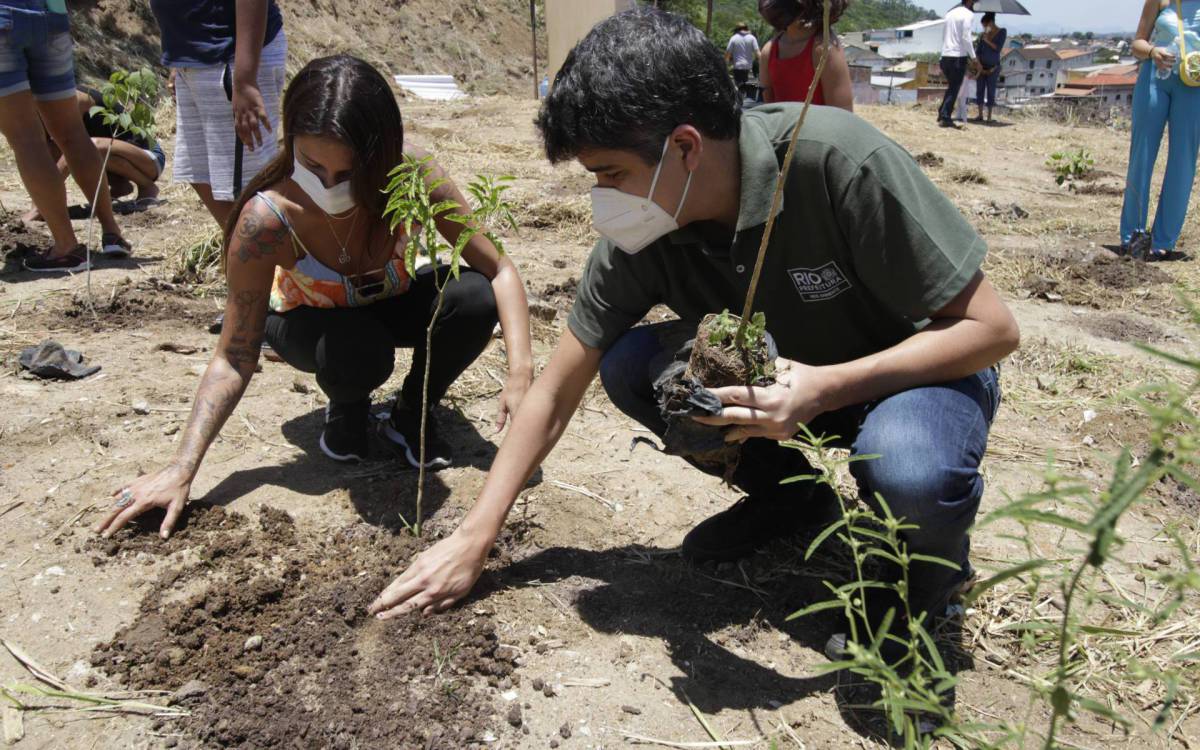 Plantio será pago por medidas compensatórias de empresas que causam danos ao meio ambiente