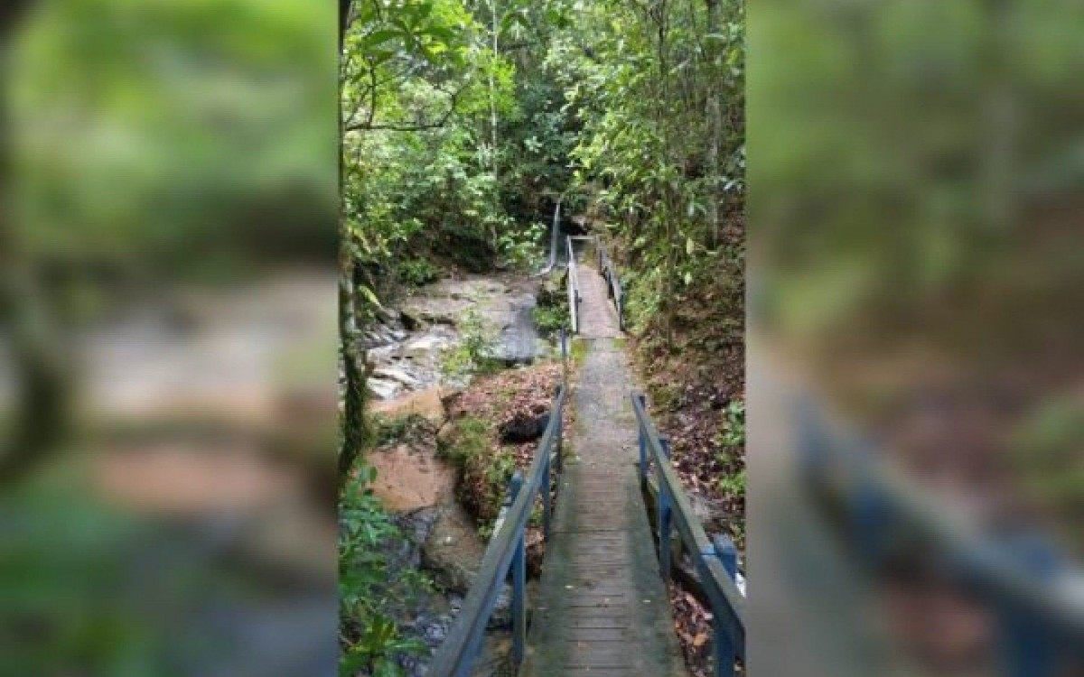 Japonesa foi estuprada e morto em cachoeira de Abadiânia por um rapaz de 18 anos - Reprodução