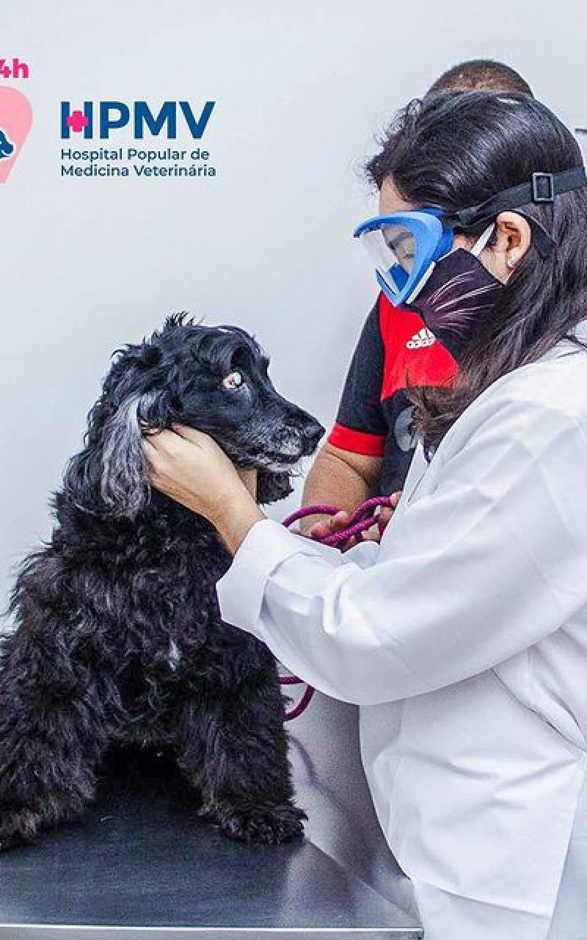 O Hospital Popular de Medicina Veterinária vai inaugurar mais duas unidades na Zona Oeste do Rio: Senador Camará e Praça Seca