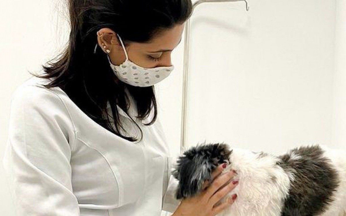 O Hospital Popular de Medicina Veterinária vai inaugurar mais duas unidades na Zona Oeste do Rio: Senador Camará e Praça Seca