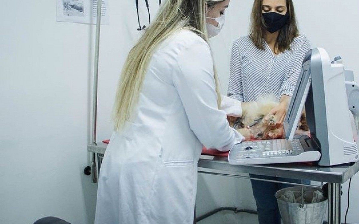 O Hospital Popular de Medicina Veterinária vai inaugurar mais duas unidades na Zona Oeste do Rio: Senador Camará e Praça Seca