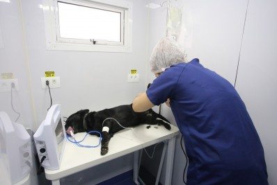 Castramóvel chega ao bairro do Fischer a partir de 12 de março