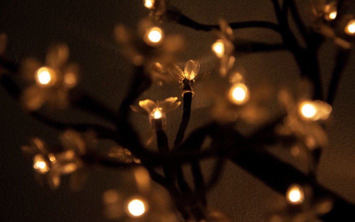 Menina morre após encostar em enfeite de Natal - Banco de Imagens