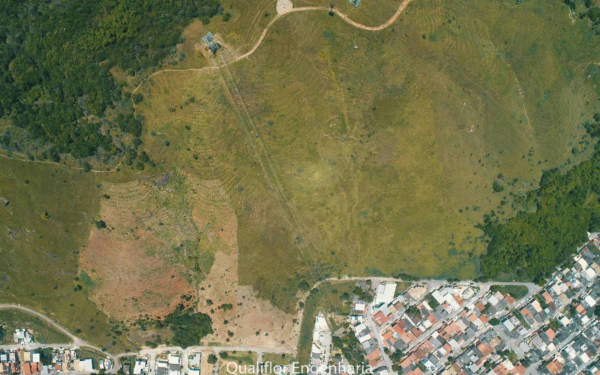 Lançamento celebra os 34 anos do programa de reflorestamento de encostas