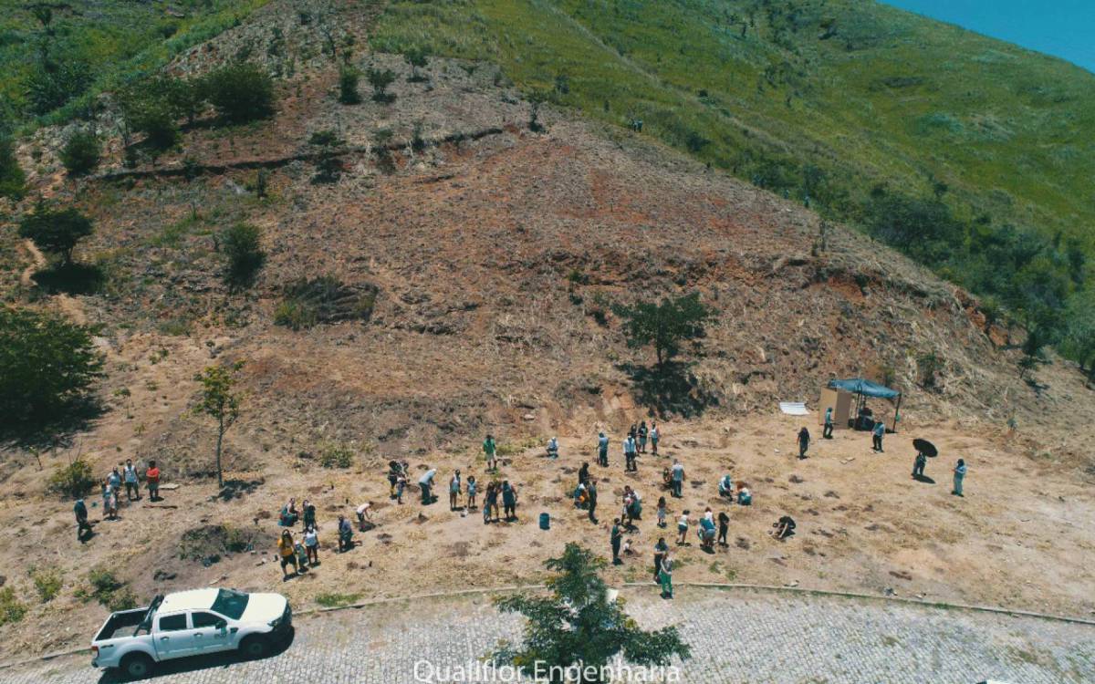 Lançamento celebra os 34 anos do programa de reflorestamento de encostas