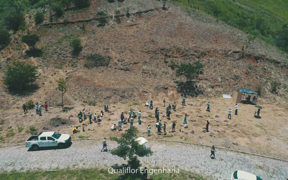 Lançamento celebra os 34 anos do programa de reflorestamento de encostas