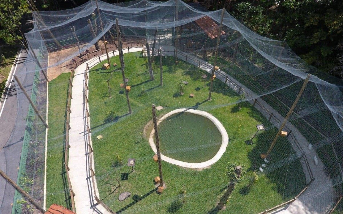 Zoológico de Volta Redonda atraiu cerca de duas mil pessoas no fim de semana - Evandro Freitas