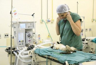 Prefeitura abre processo seletivo para vagas na Vigilância Sanitária