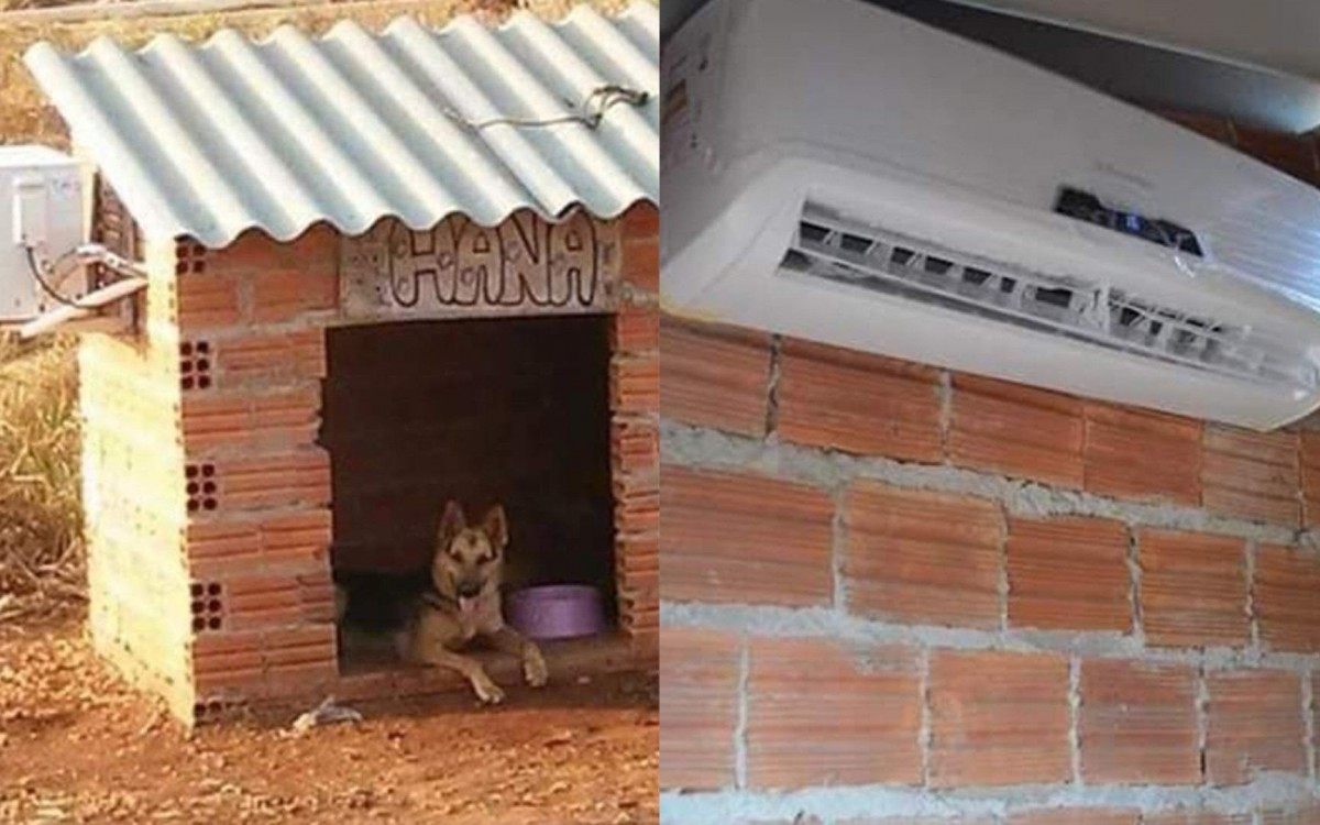 Casinha de cachorro com ar condicionado viraliza nas redes sociais - Reprodução Twitter