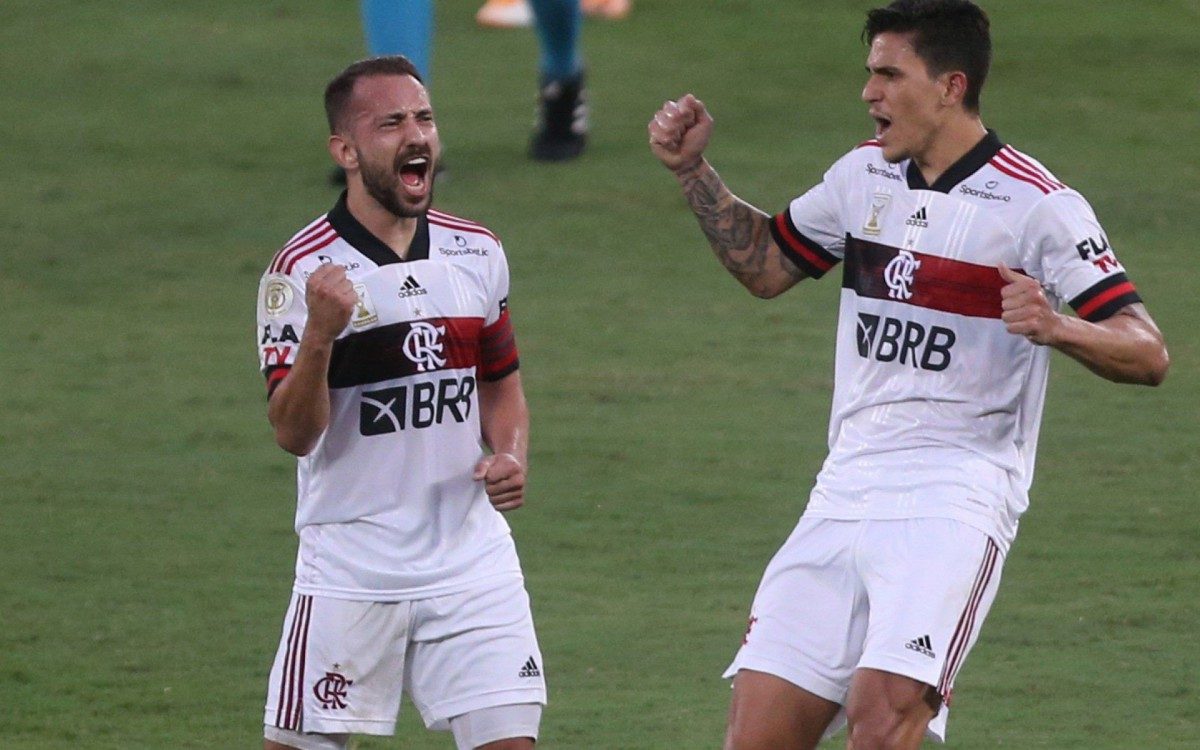 Com gol de Éverton Ribeiro, Flamengo vence o Botafogo no Nilton Santos |  Esporte | O Dia