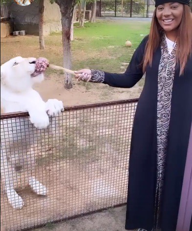 Ludmilla visita zoológico particular - reprodução do instagram
