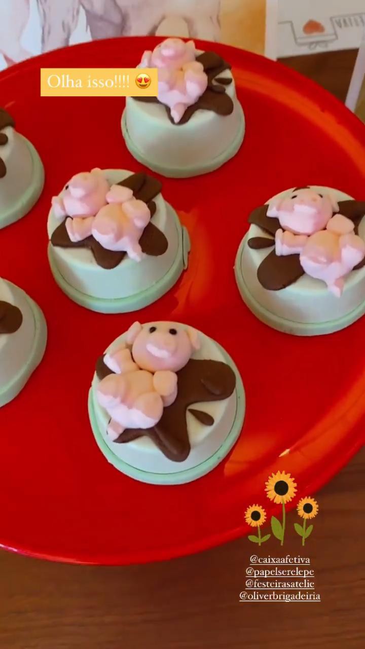 Festa de cinco meses de Zyan - Reprodução