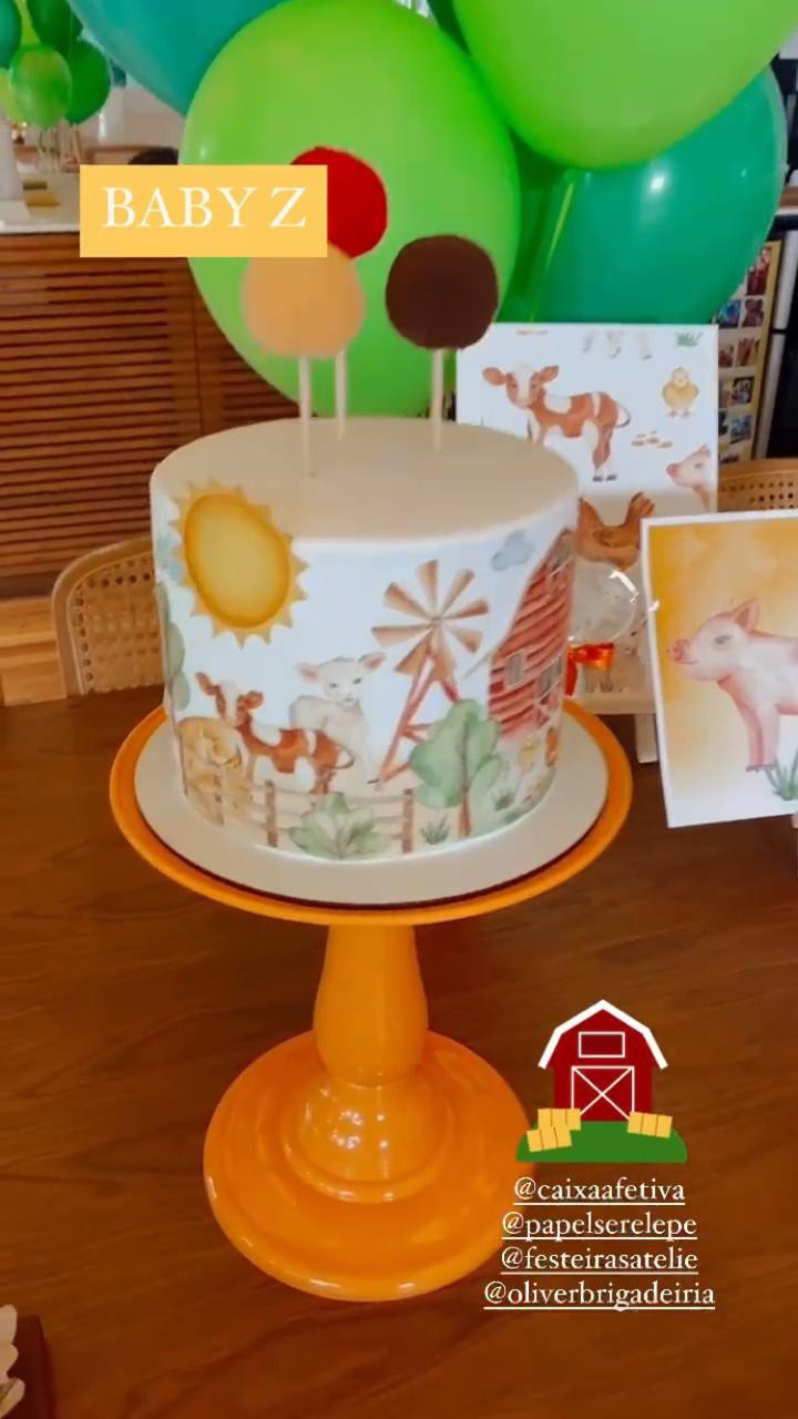 Festa de cinco meses de Zyan - Reprodução