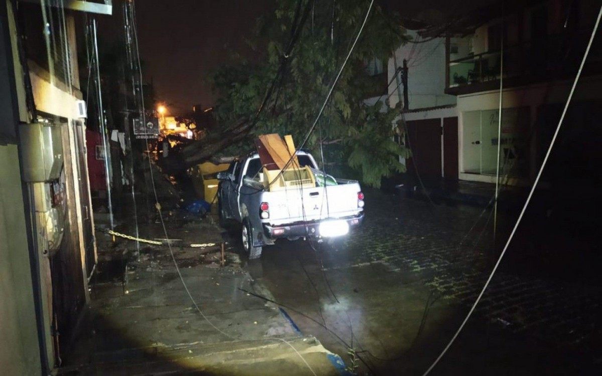 Defesa Civil retira árvore caída sobre veículo no Centro de Búzios - Prefeitura de Búzios 