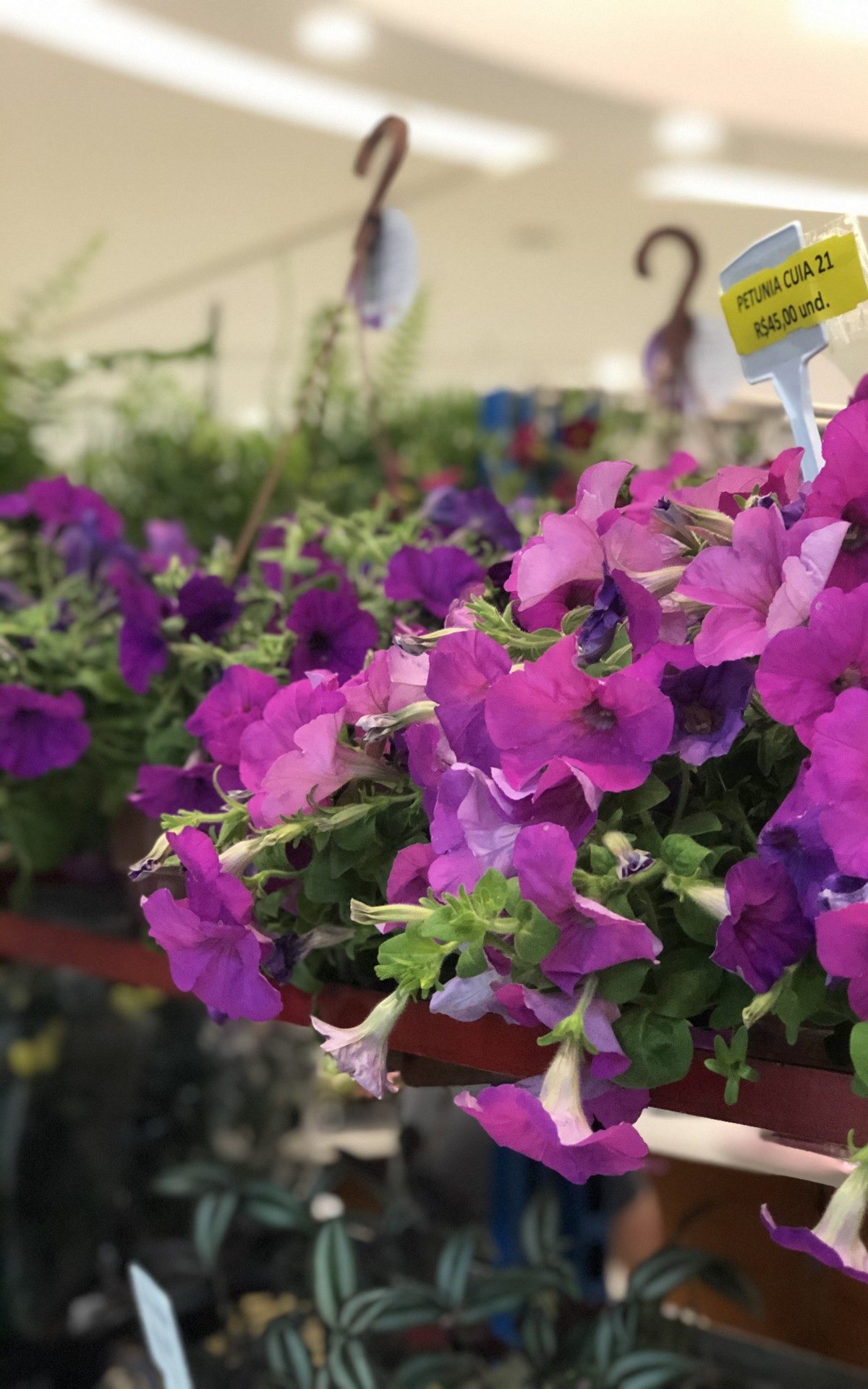 Caxias Shopping recebe Feira Florescer com árvores e enfeites natalinos