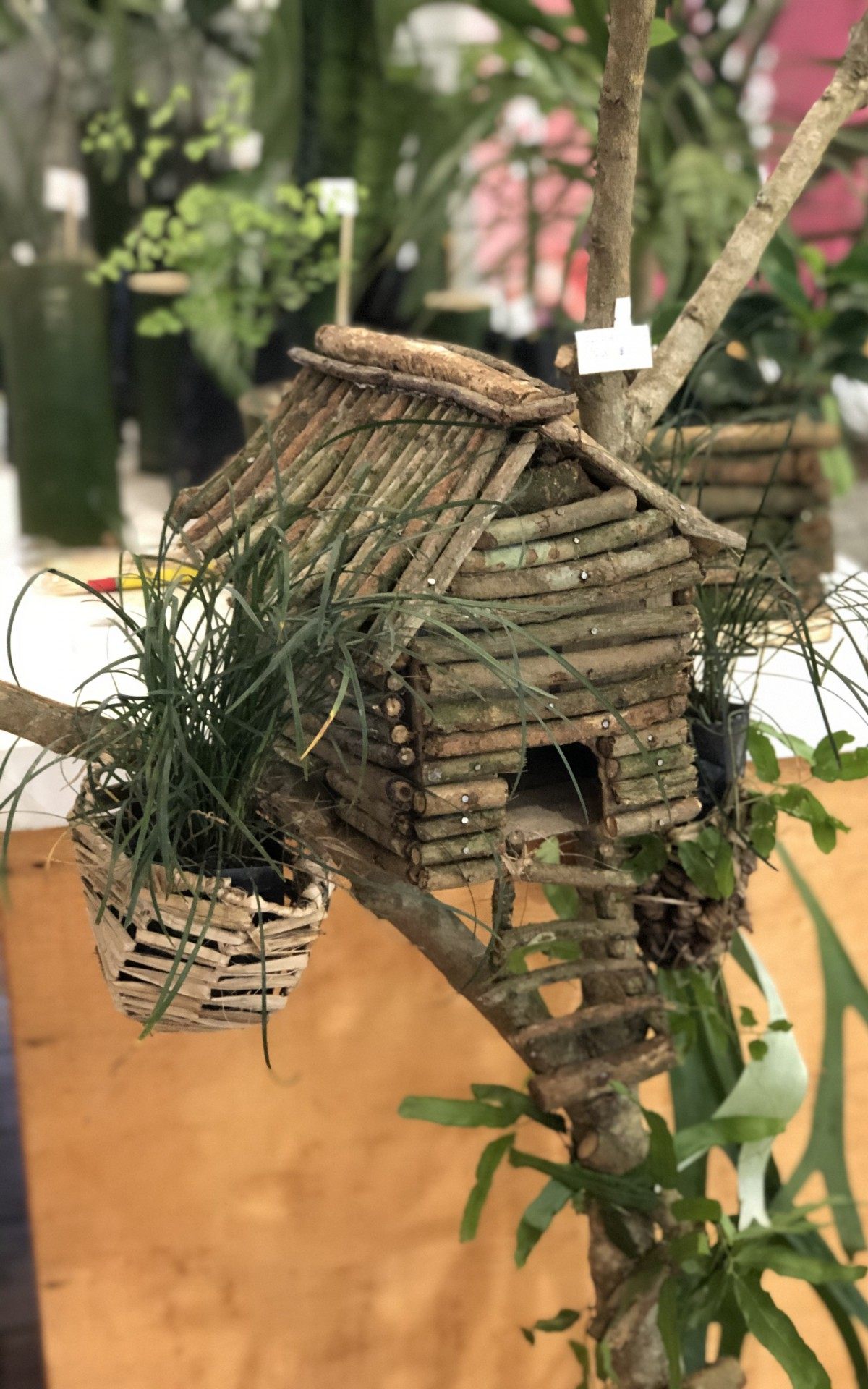 Caxias Shopping recebe Feira Florescer com árvores e enfeites natalinos