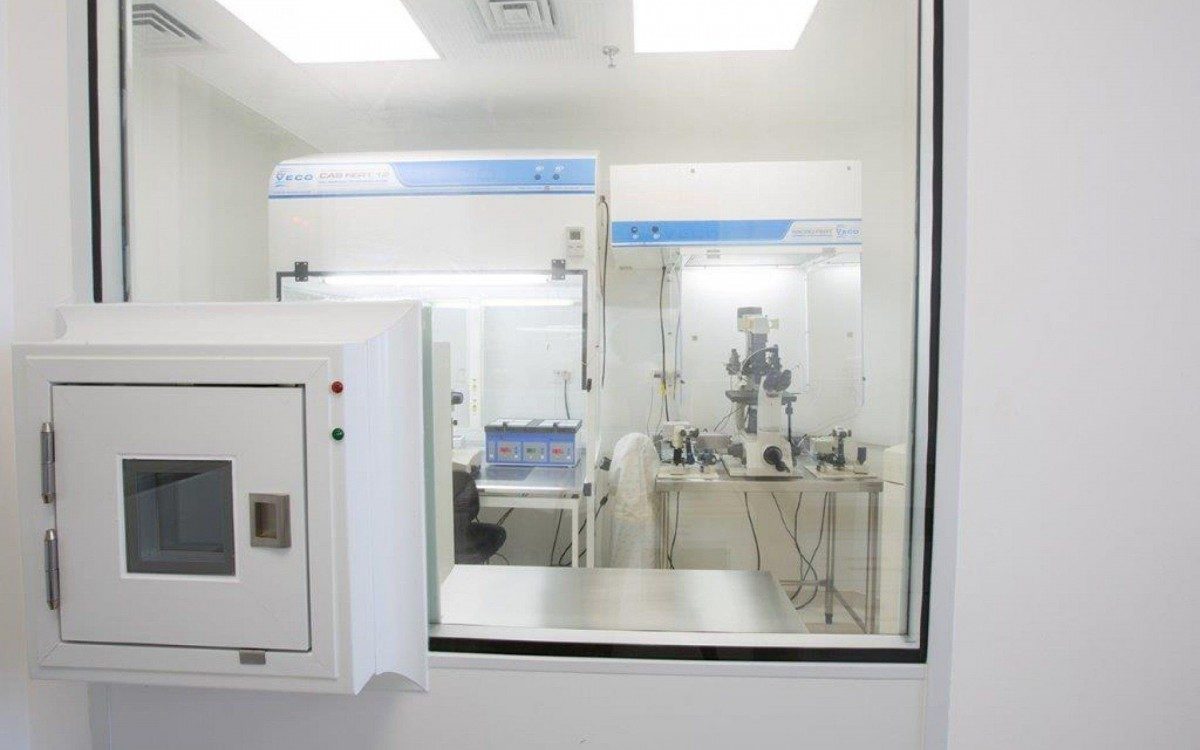 Maternidade possível: ovodoação aumenta as chances de engravidar