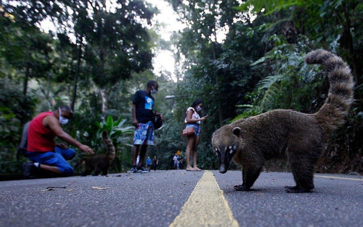 Belezas naturais Belezas naturais