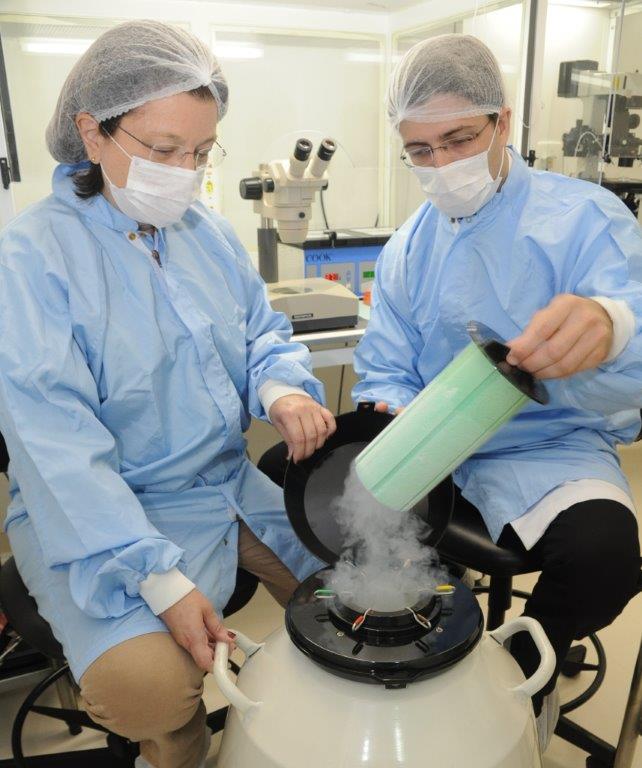 Maternidade possível: ovodoação aumenta as chances de engravidar