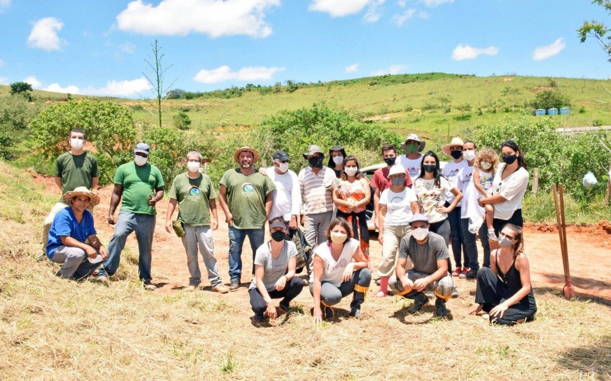 Mutirão terminou com cerca de 800 mudas plantadas  - Divulgação