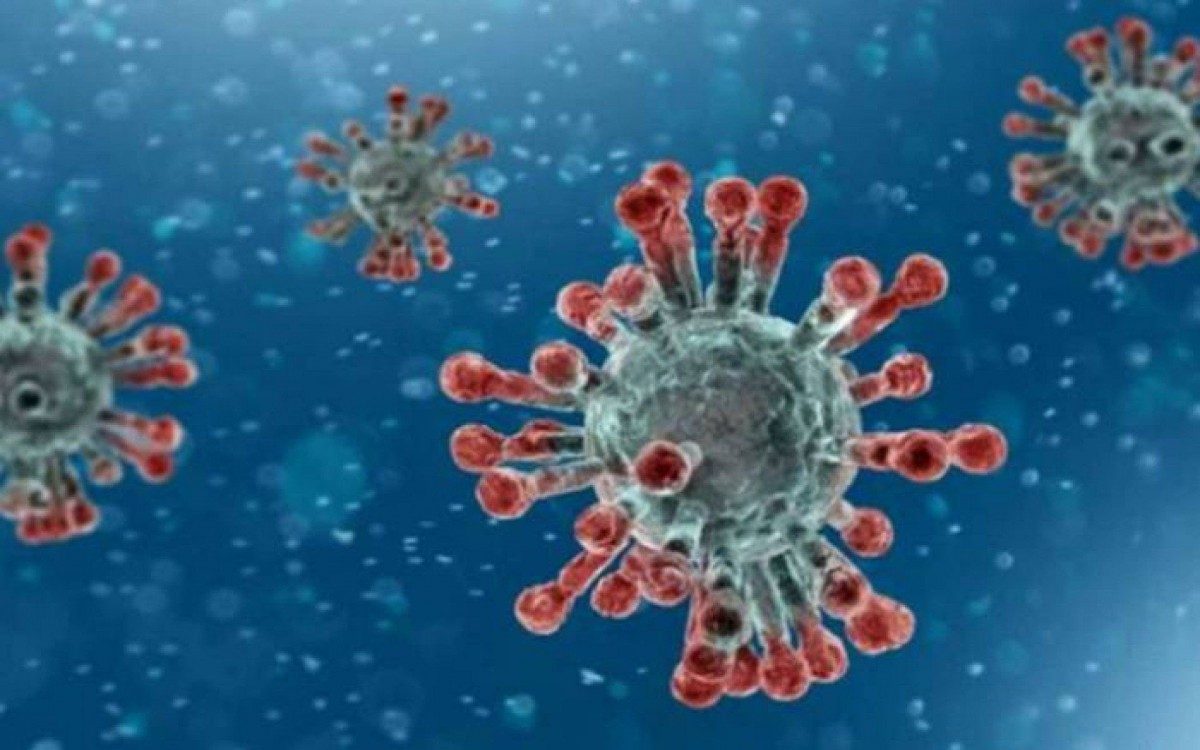 Dados atualizados da Covid-19 - Divulga&ccedil;&atilde;o