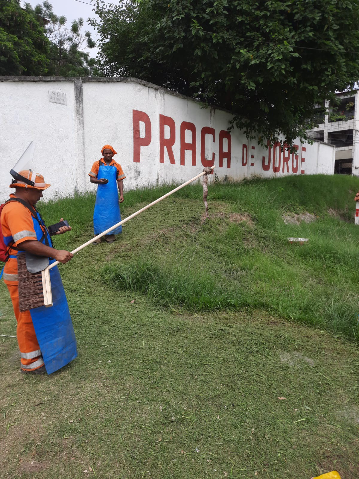 Patrulha ambiental resgata capivara e jiboia em diferentes pontos da cidade

 - Divulgação/Guarda Municipal