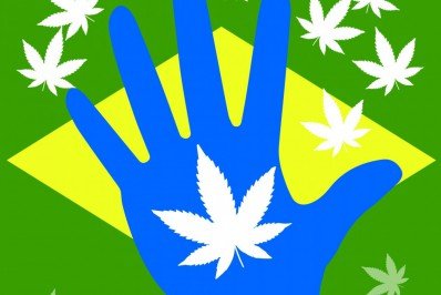  Luciano Cunha Noia: Legalização paralisada 