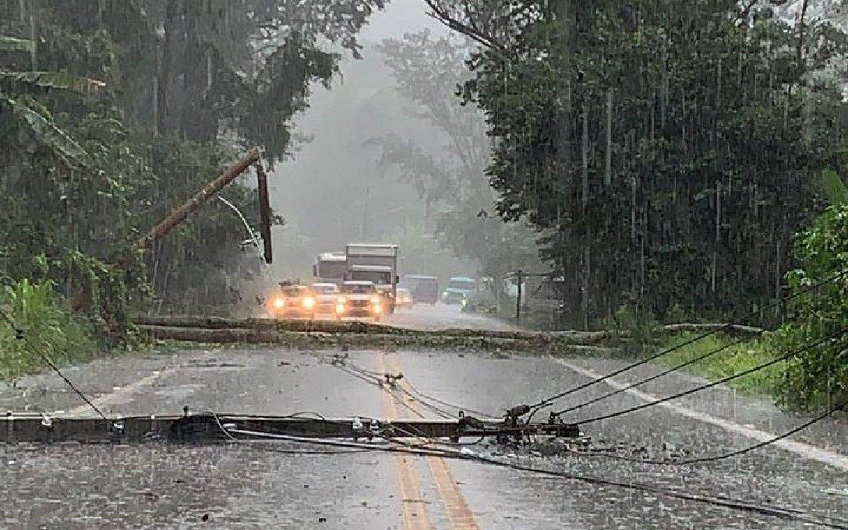 Queda de árvore e poste deixou a RJ-130 fechada em ambos os sentidos - Divulgação 