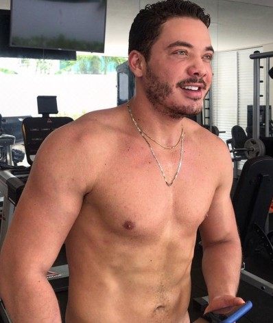 Wesley Safadão - Reprodução do Instagram