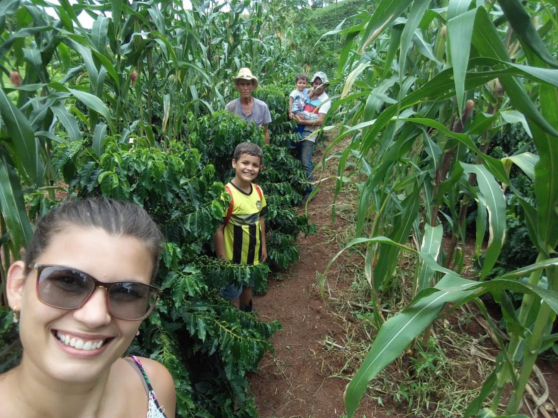 Primeira colheita da fam&iacute;lia Labeta ocorreu em 2020. - Foto: divulga&ccedil;&atilde;o