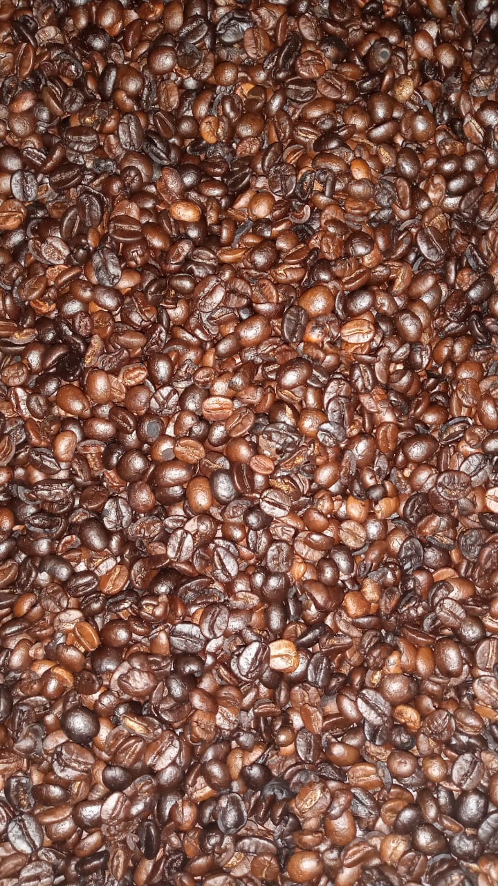 Cafeicultura ubaense se destaca no Noroeste Fluminense. - Foto: divulga&ccedil;&atilde;o