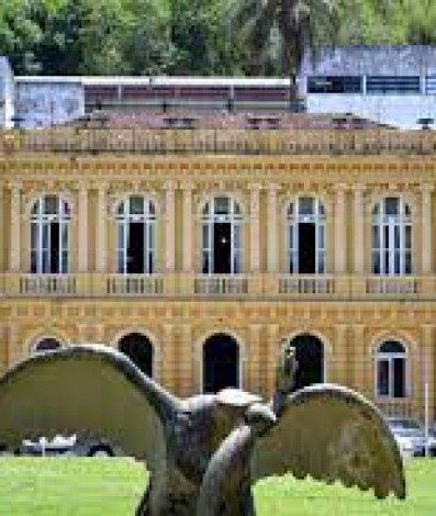 C&acirc;mara Municipal de Petr&oacute;polis (CMP) - Reprodu&ccedil;&atilde;o